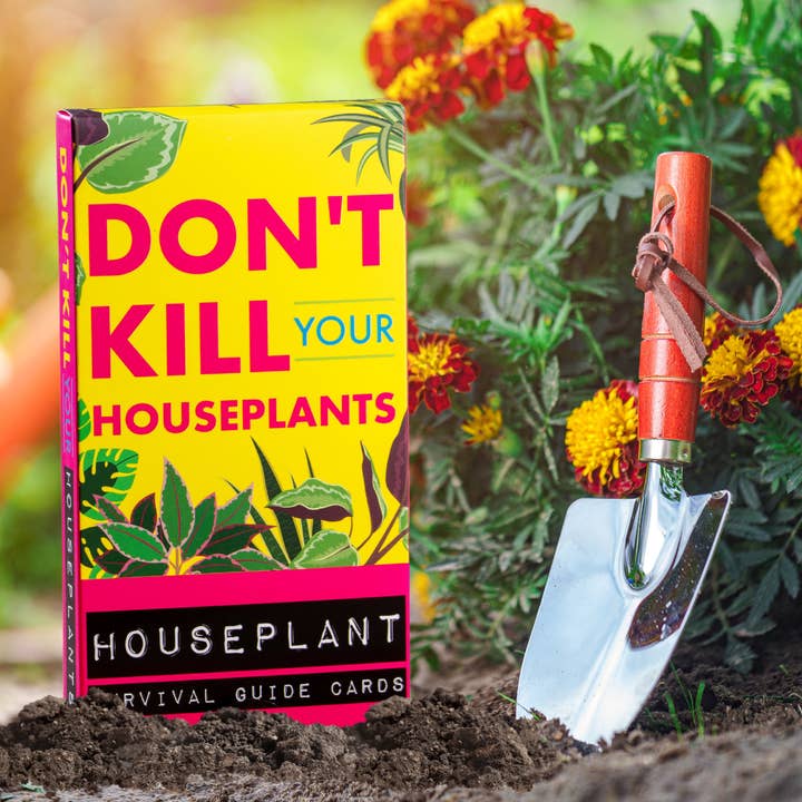 Boxer Gifts – wholesale Plant mister – Don't Kill Your Houseplants Care Guide - Plant Gifts5