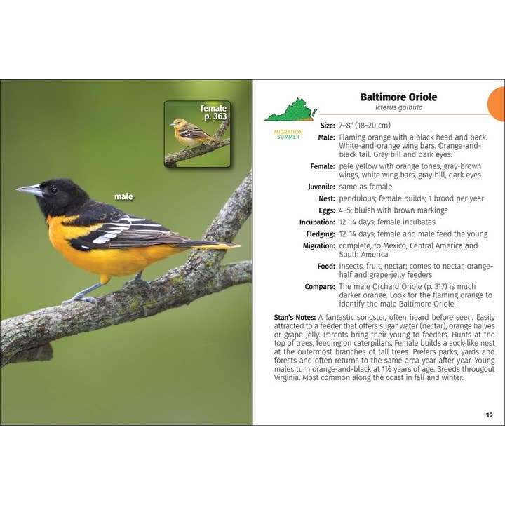 AdventureKEEN - Wholesale Nature Guide - Birds of Virginia Field Guide 2e