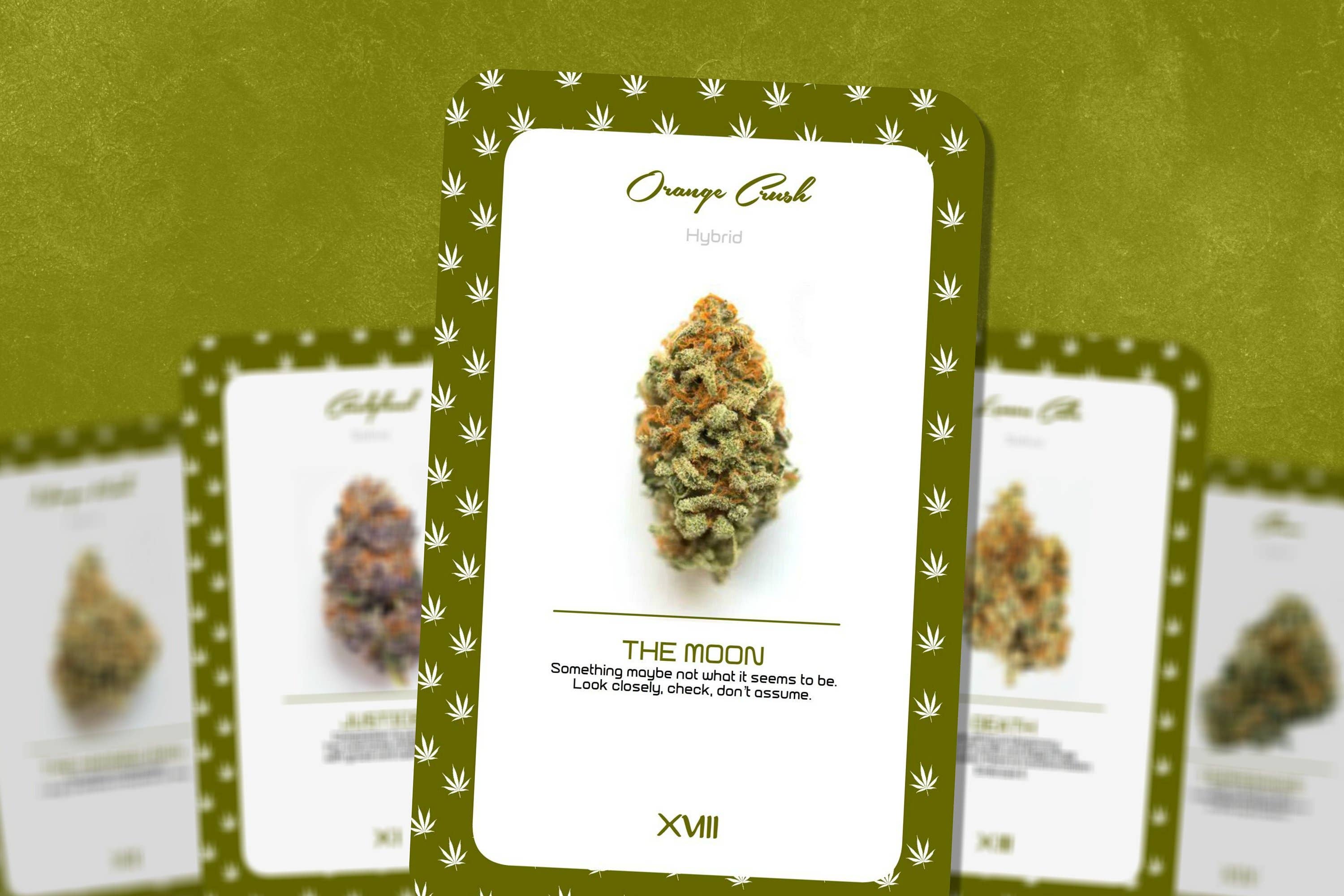 IBIZA TAROT – wholesale Tarot-kort – Cannabis Oracle - Major Arcana1