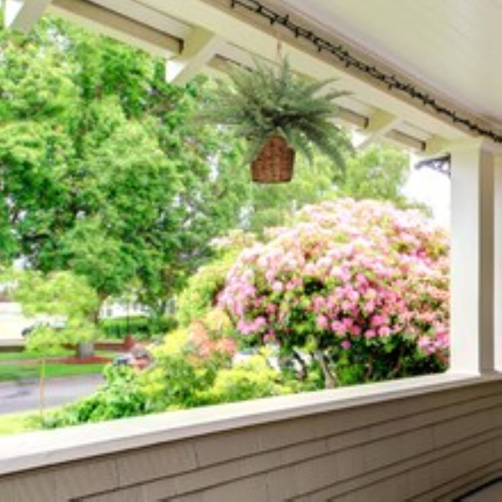 Larksilk - Vente Plantes artificielles - Fougère de Boston artificielle 122 cm pour intérieur et extérieur5