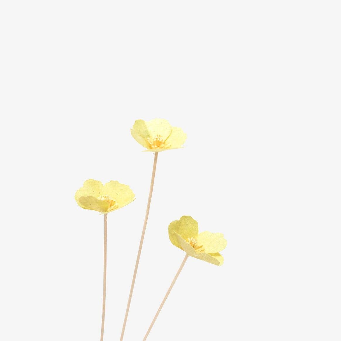 MILLIMÉTRÉE - Vente Fleurs artificielles - Bar À Fleurs Les Sauvages2