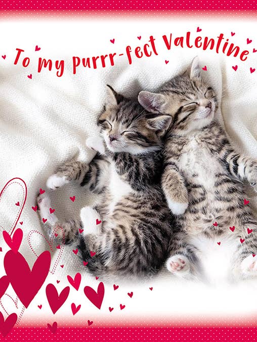Carte de Saint-Valentin, Ouverte, Chatons pour la vente par Piccadilly Greetings