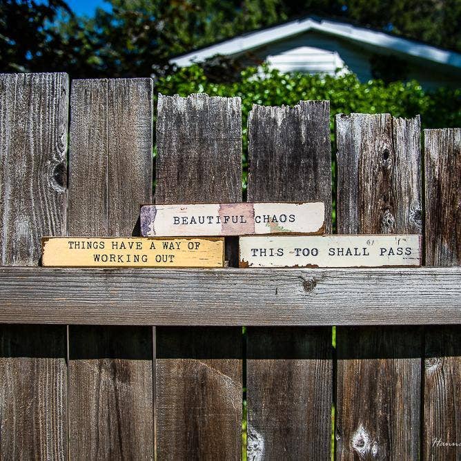 Cedar Mountain Studios - Wholesale Sign - Timber Bit - Large - Walk In The Woods 3