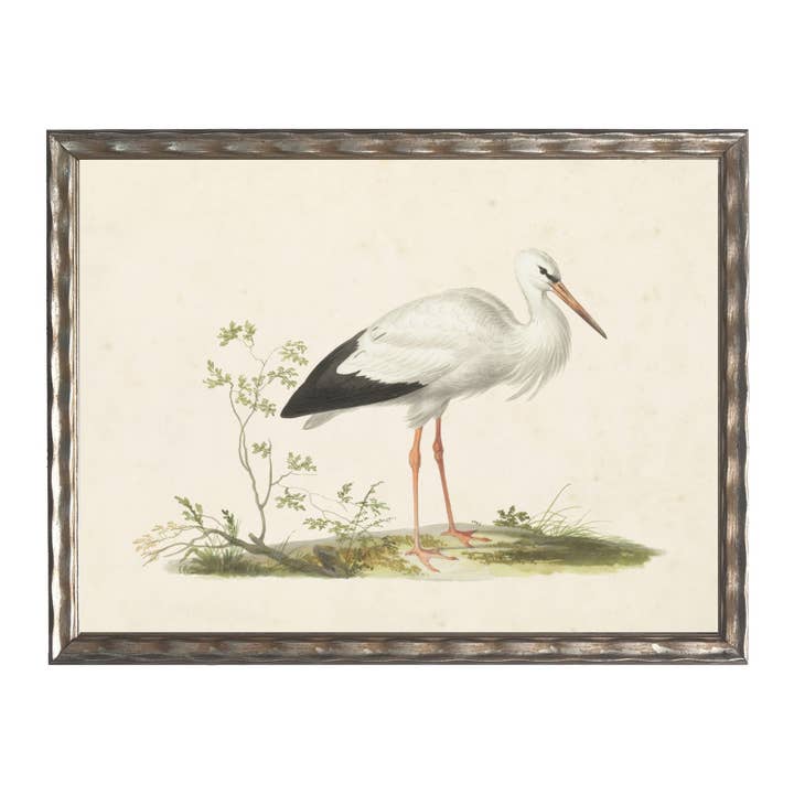 Oiseau aquatique blanc vintage sur fond vieilli pour la vente par Antique Curiosities Inc
