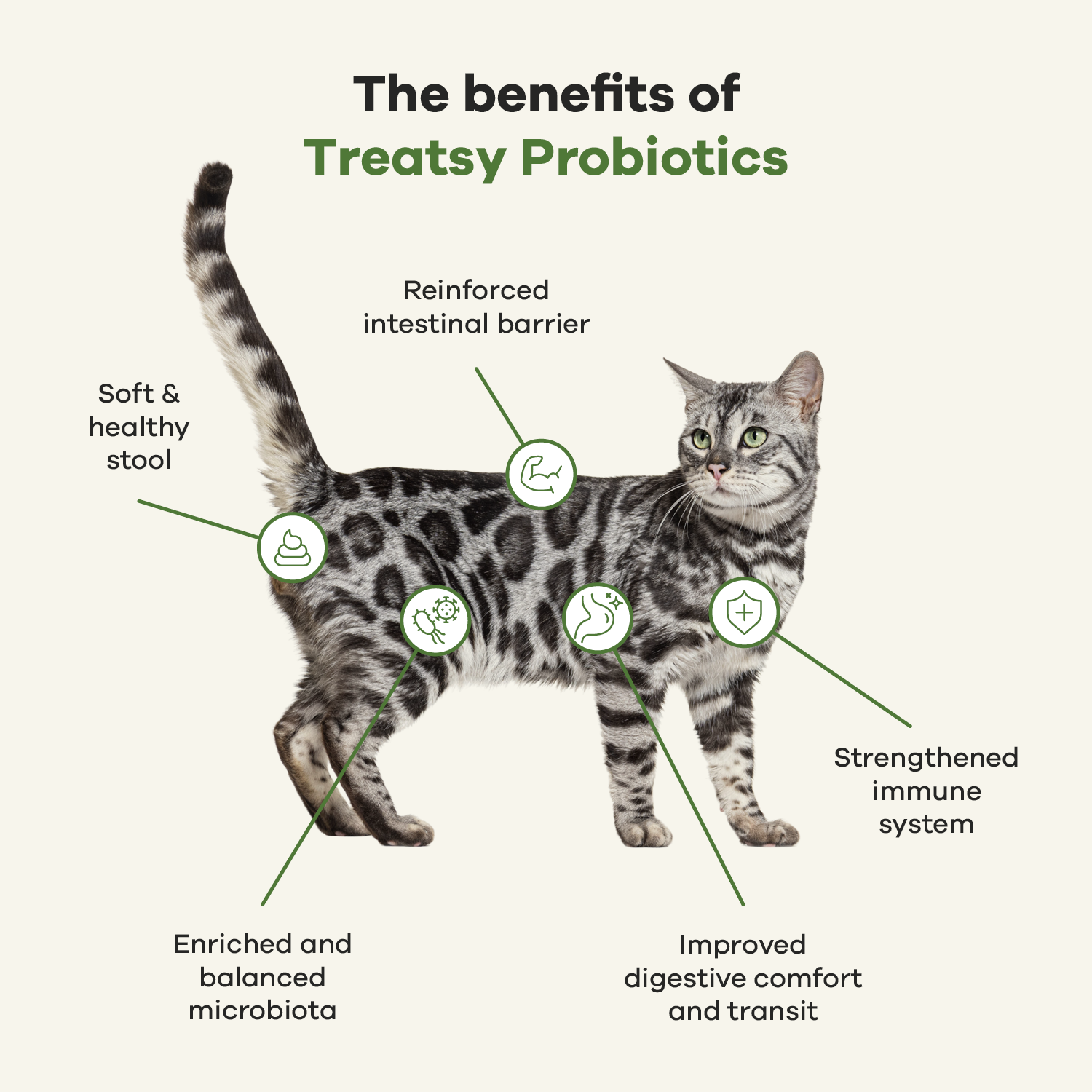 Treatsy - Vendita all'ingrosso Integratore per animali domestici - Gatti - Integratore probiotico per gatti | Consigliato dai veterinari | Pesce e pollo4