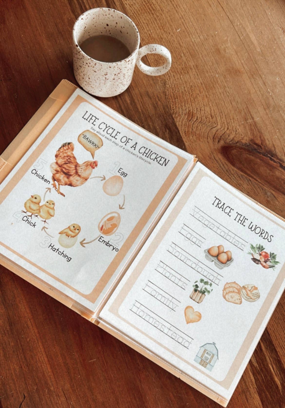 Sonshine Book Co - Wholesale Coloring & Activity Book - Kids & Baby - Little Homestead Busy Book1