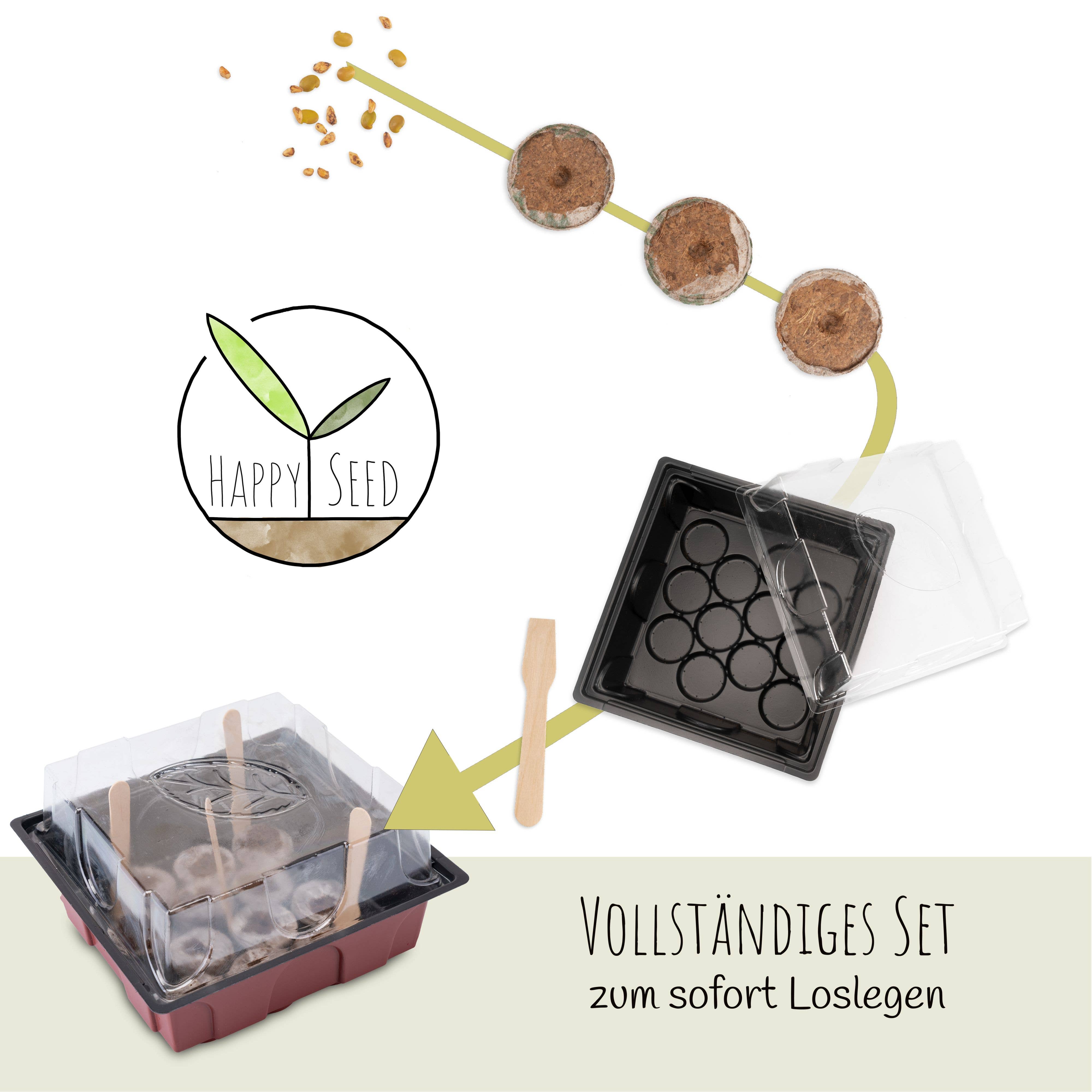 Vendix GmbH - Vendita all'ingrosso Semi di piante - Kit per iniziare a coltivare bonsai con guida eBook inclusa4