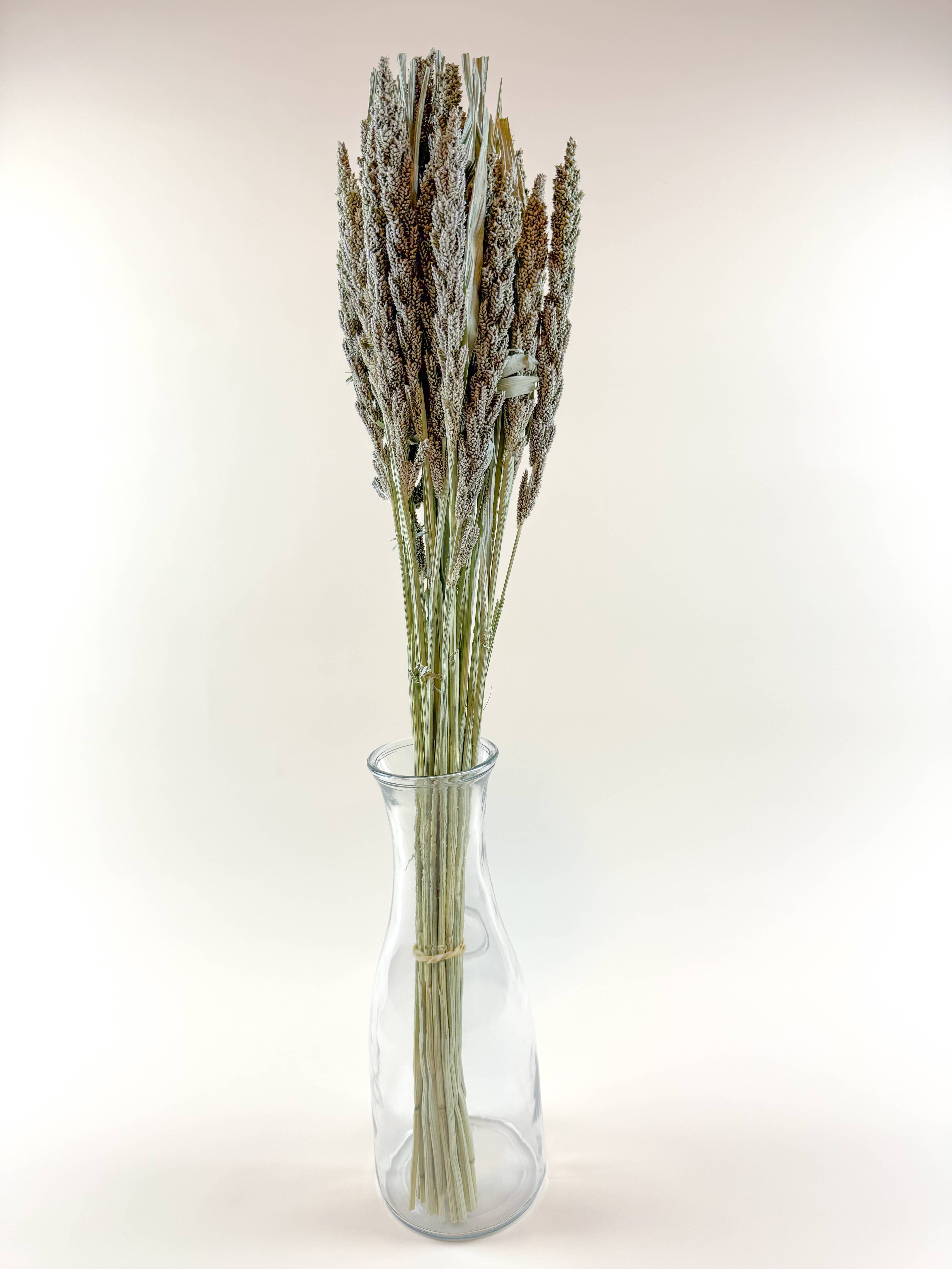 Lovejoy Farms Premium Dried Flowers - Wholesale Dried/Pressed Flowers - Tapestry Millet – Natural Dried Millet for Floral Design2