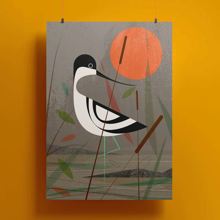 Avocet in the shallows Greetings Card for wholesale by Mr Watson Design