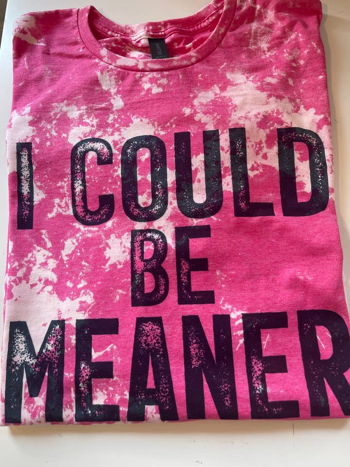 StricklandDesignCo - Wholesale Screen Printed T-Shirt - Women's - i could be meaner shirt0
