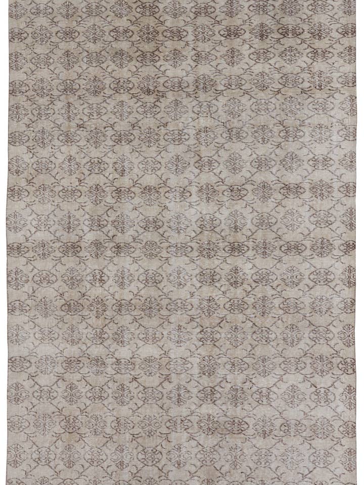 Maisey - 5'4" x 8'9" für den Großhandel von Biev