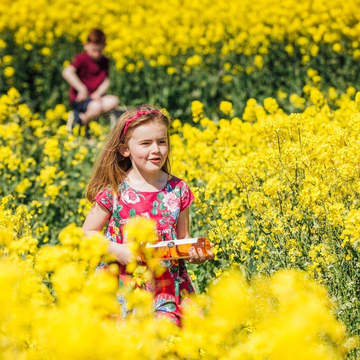 Broighter Gold Rapeseed Oil – Óleo de cozinha por atacado – Óleo de Colza Infundido com Fumo de Nogueira Broighter Gold - Caixa de 94
