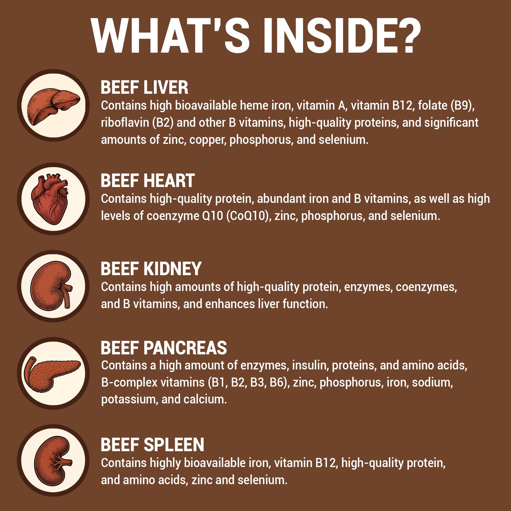 HARMONIFY - Vente Supplément oral/vitamine - Gélules de Foie de Bœuf Nourri à l’Herbe 3100 mg - Complément d’Organes3