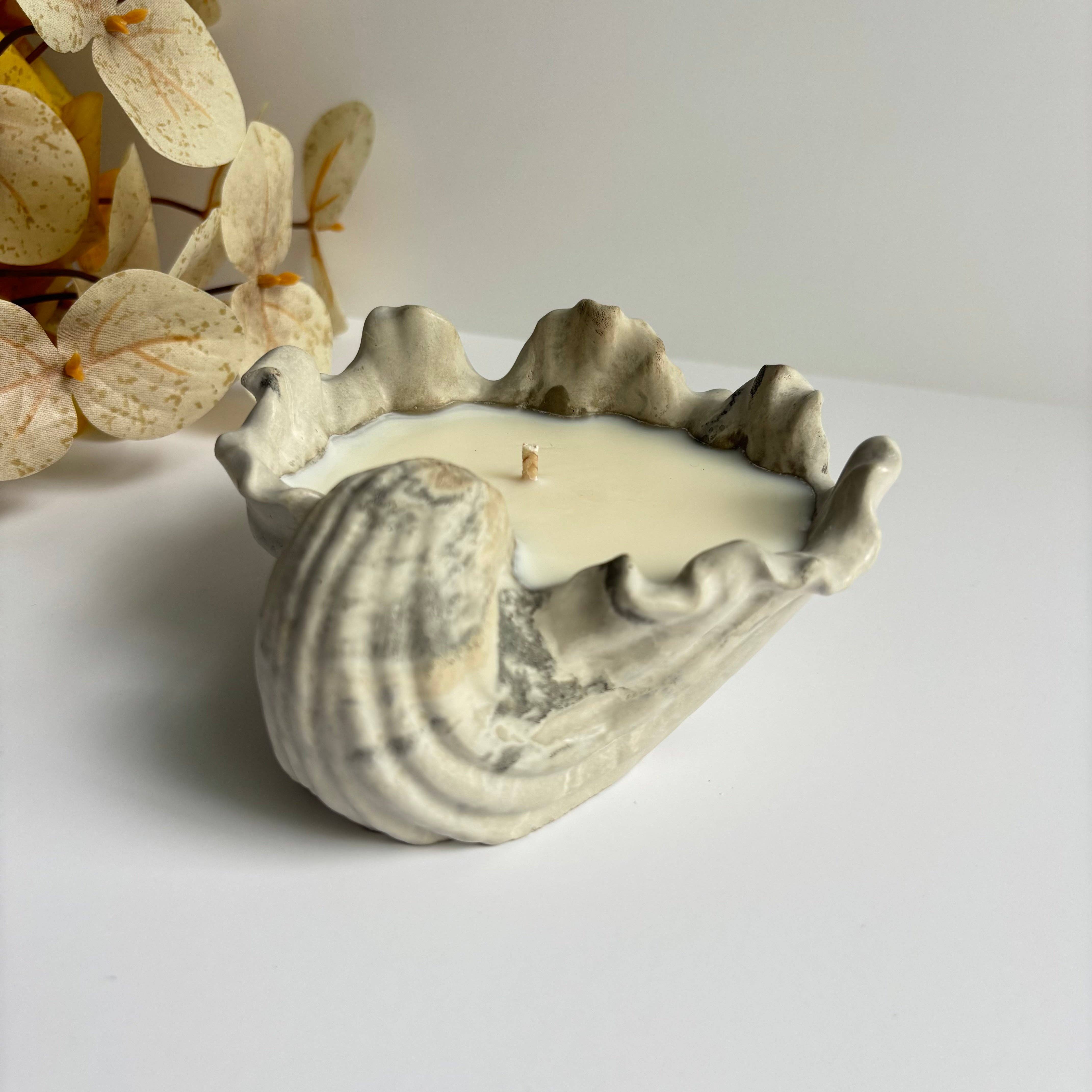 Fancy Concrete - Wholesale Decorative Plate/Dish/Bowl - Selene - Shell Bowl-Dish9