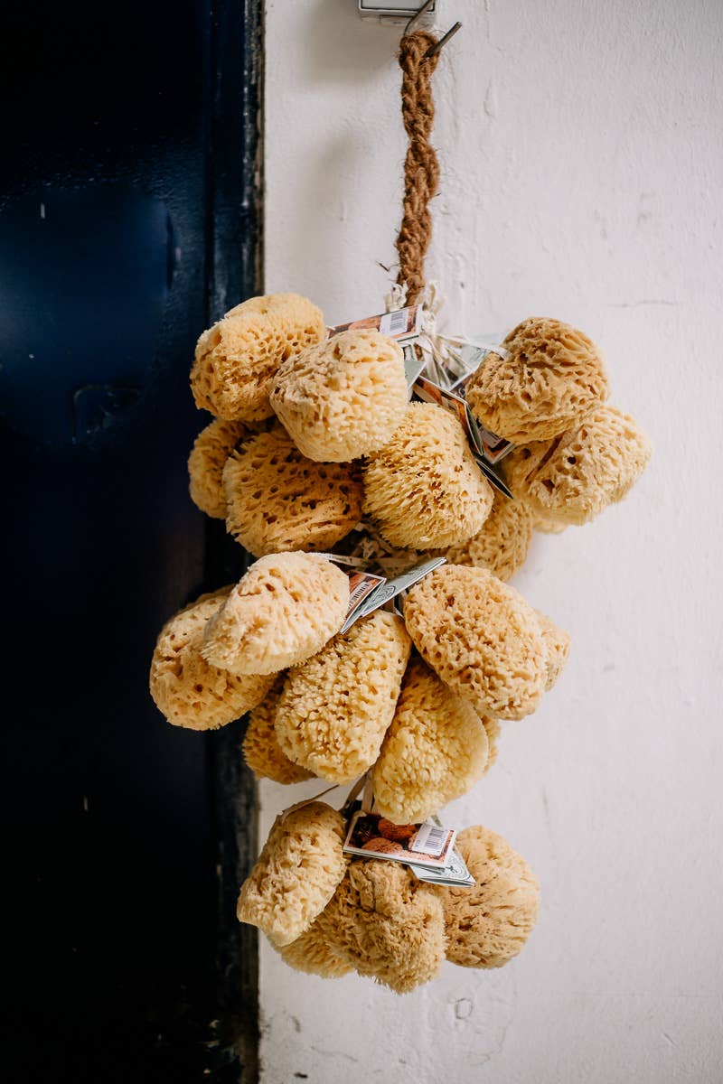 Croll & Denecke – Großhandel Badepuff/-schwamm – Naturschwamm Traube, Shop Display 20252