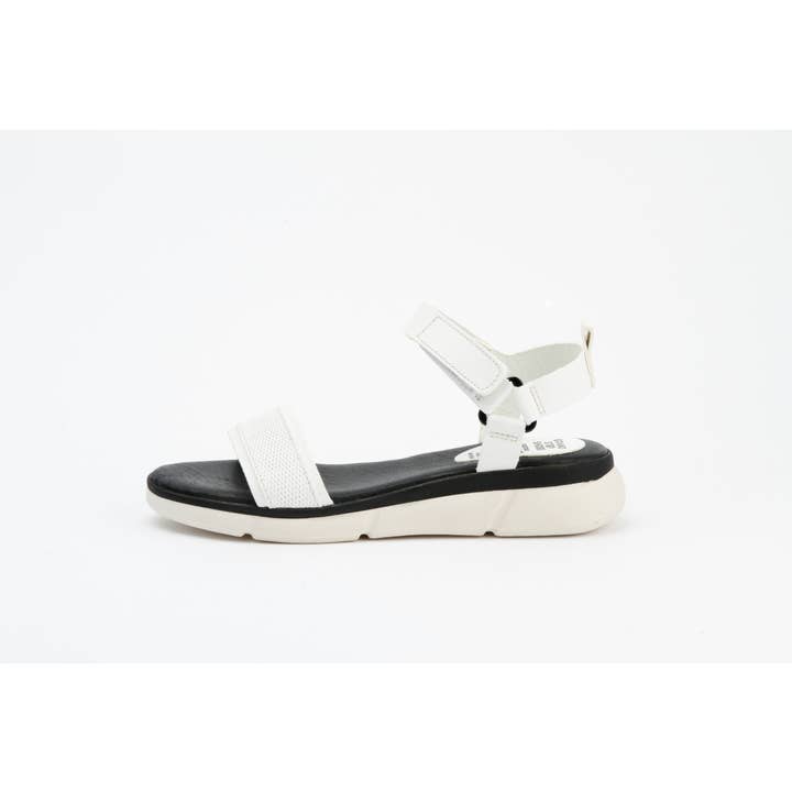 Feli för wholesale av Greenergrass GmbH