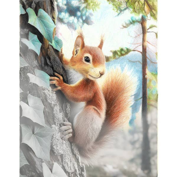 Grizaye - Wholesale DIY Craft Kit - Drawing Kit: Red Squirrel5