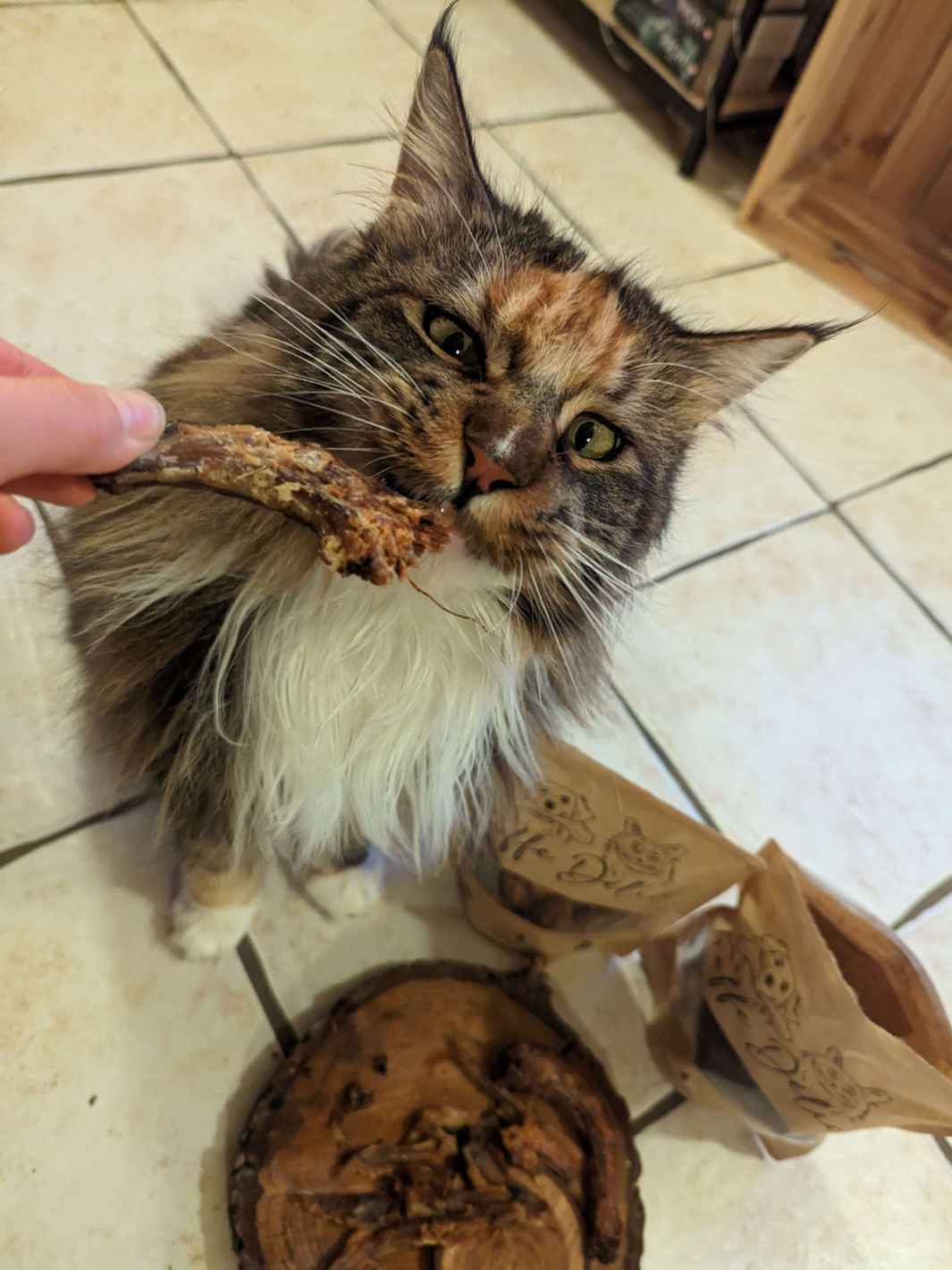 Truffe Délice - Wholesale Pet Treats - Dog - Chicken necks2