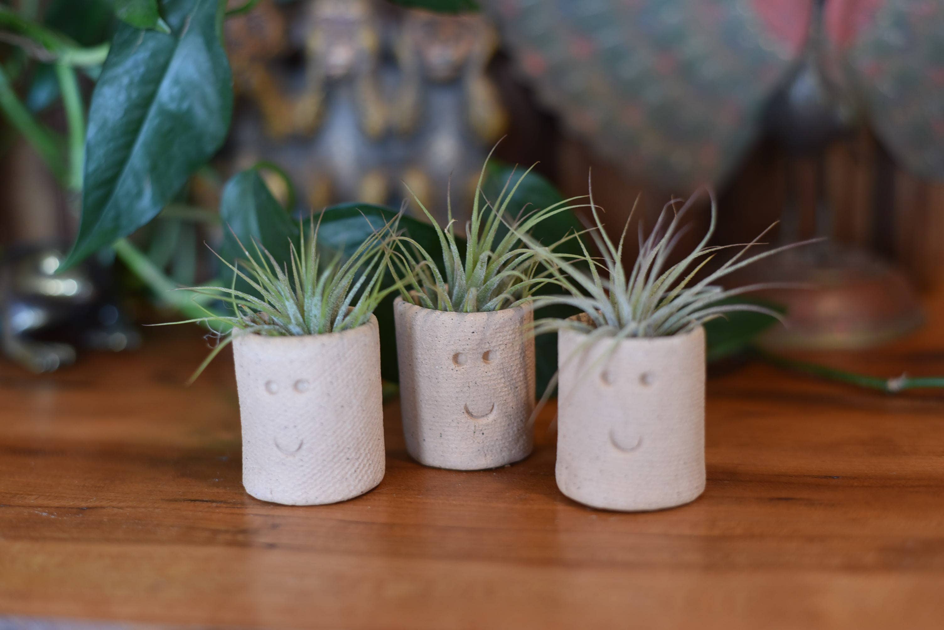 Mud & Maker - Wholesale Plant Pot - Air Plant Little Buddies - Smiles 1