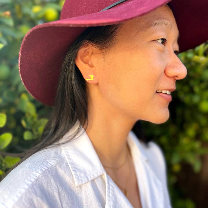 Impactful Market – Brincos de pino por atacado – Legado: Haiti | Brincos5