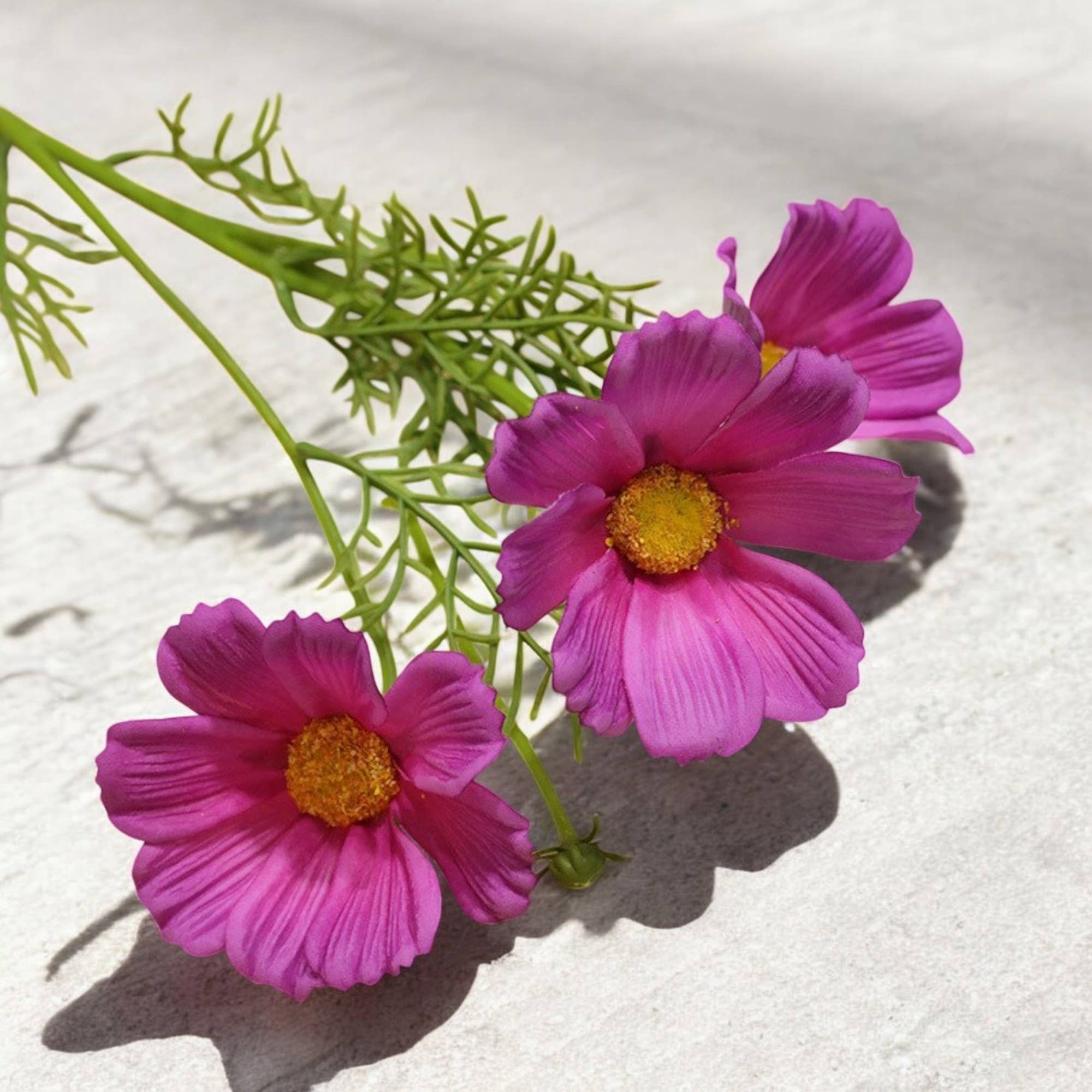 Angel Isabella - Vente Fleurs artificielles - Fleurs de cosmos réalistes de 20" - couleurs vives et réalistes8