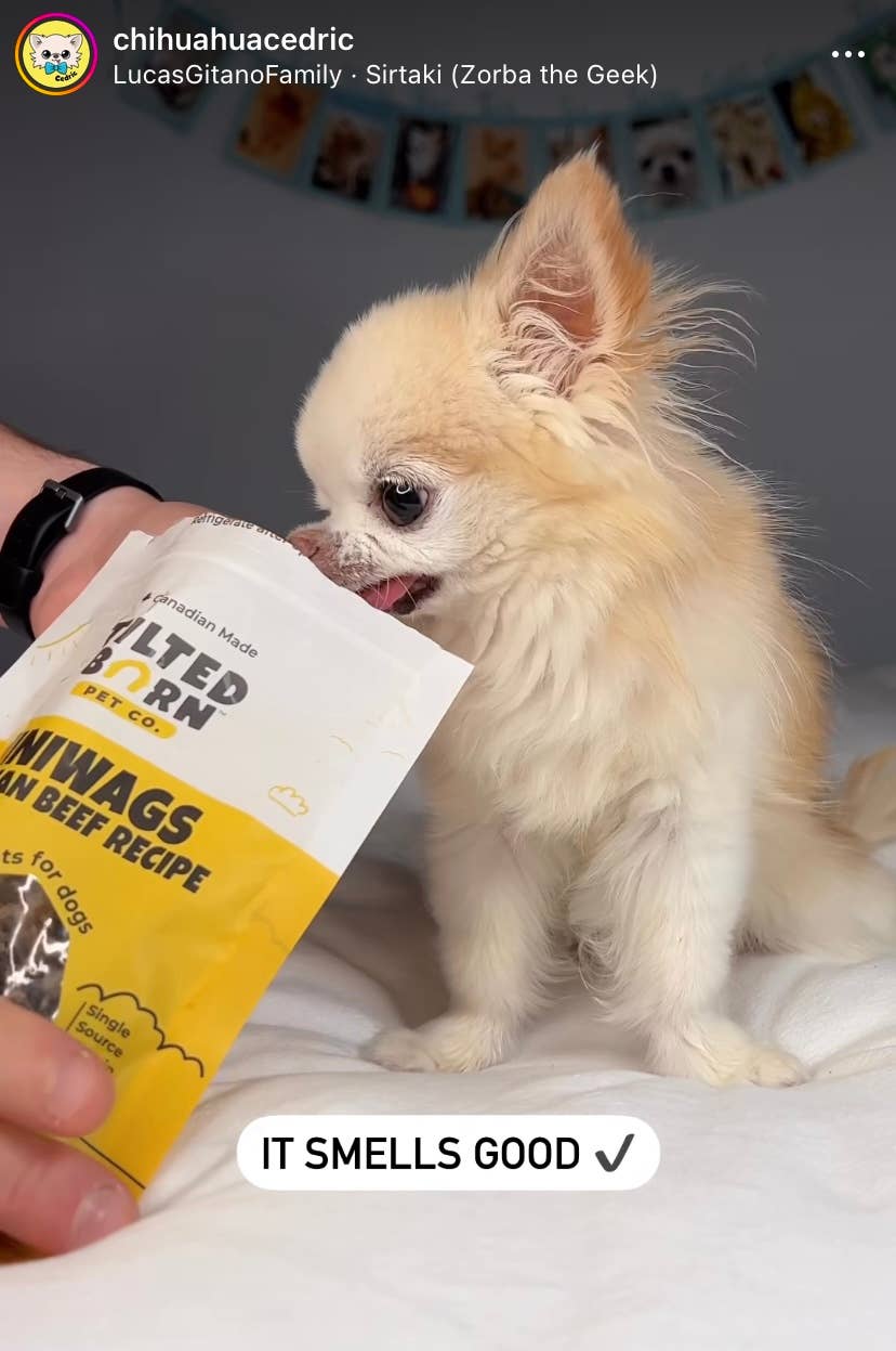 Tilted Barn Pet Co. - Vente Friandises – chien - Friandises au bœuf Miniwags pour chiens 100g/3,53 oz2