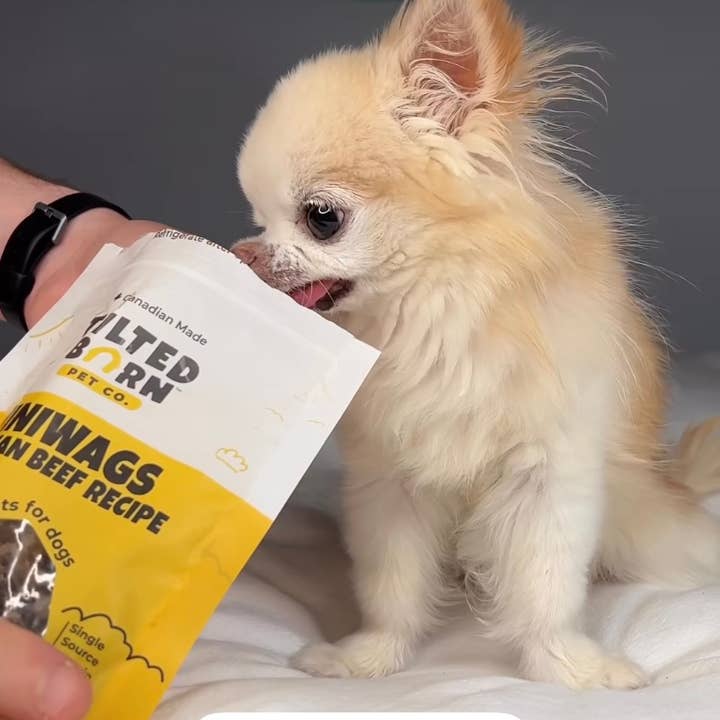 Tilted Barn Pet Co. - Vente Friandises – chien - Friandises au bœuf Miniwags pour chiens 100g/3,53 oz2