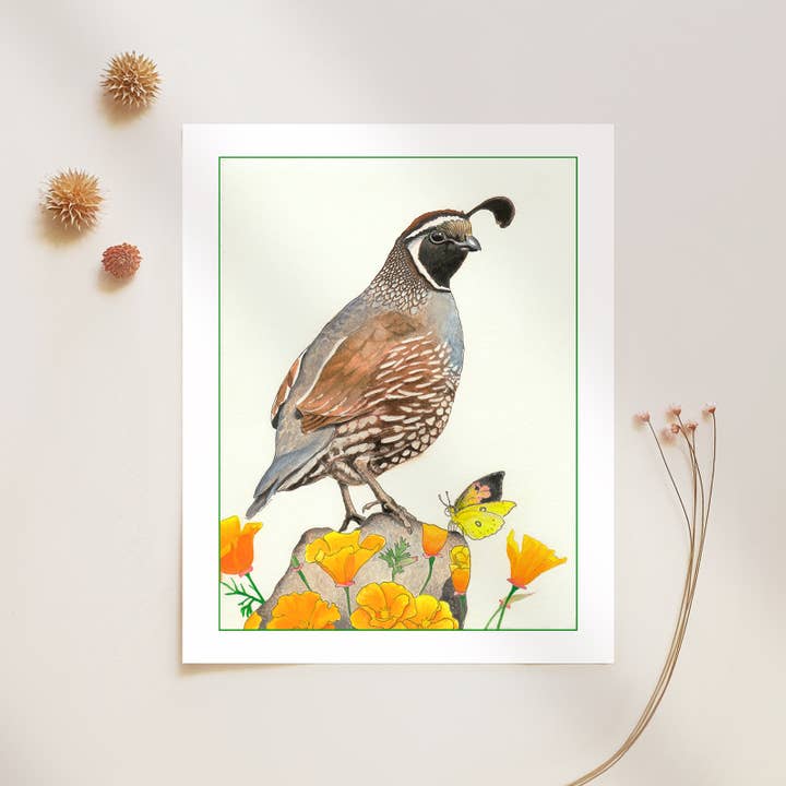 Quail and Poppies - 8x10 Archival Fine Art Print for wholesale by Amy Rose Moore Illustration