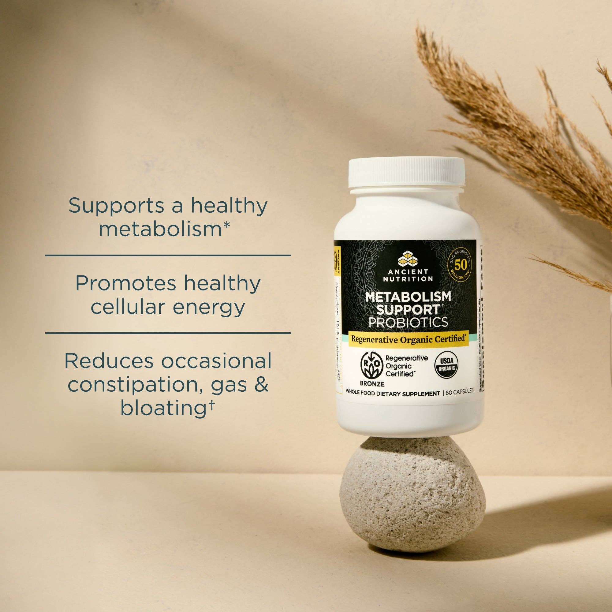 Ancient Nutrition - Vente Supplément oral/vitamine - Probiotiques de soutien au métabolisme Regenerative Organic Certified® | Capsules (60 capsules)4