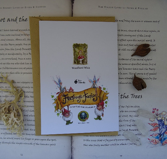 FreeRangeFaeries - Wholesale Everyday Greeting Card - Woodland Wish Greetings Card2
