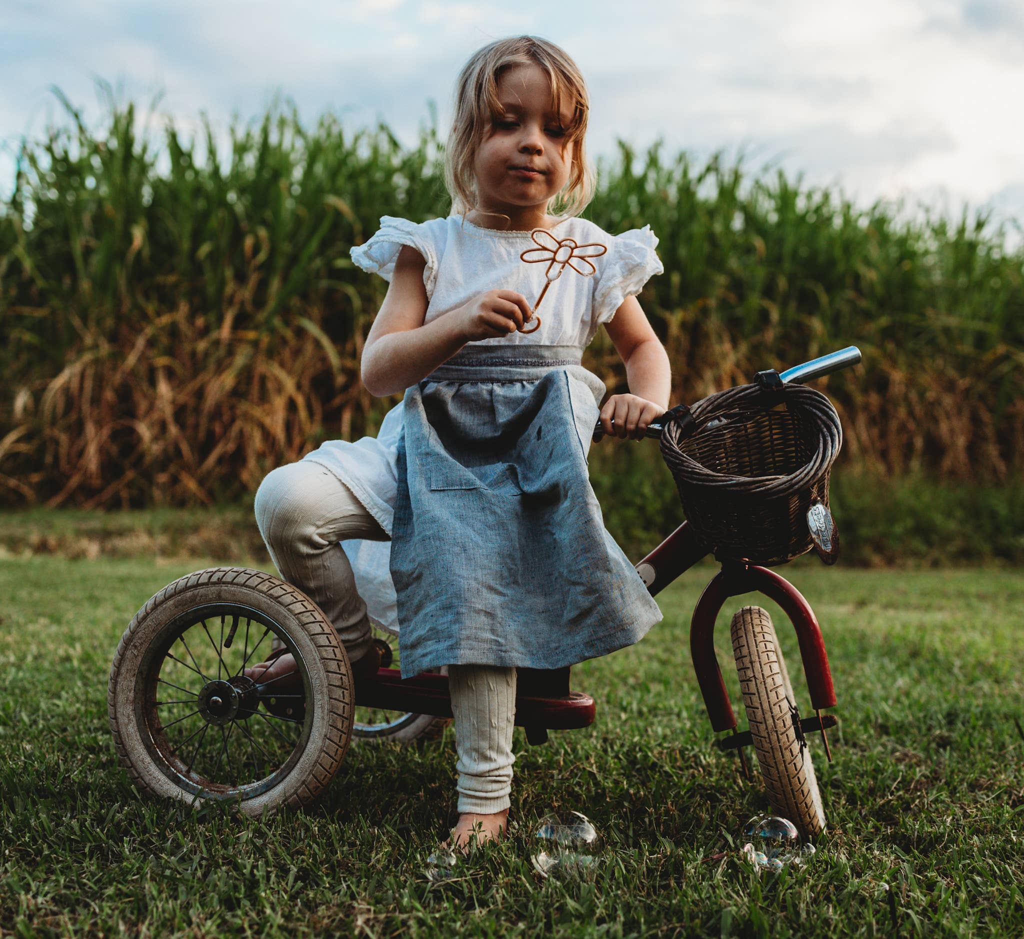 Kinfolk Pantry - Wholesale Bubble Wand - Kids - Dragonfly Bubble Wand - Eco Sensory Toy4