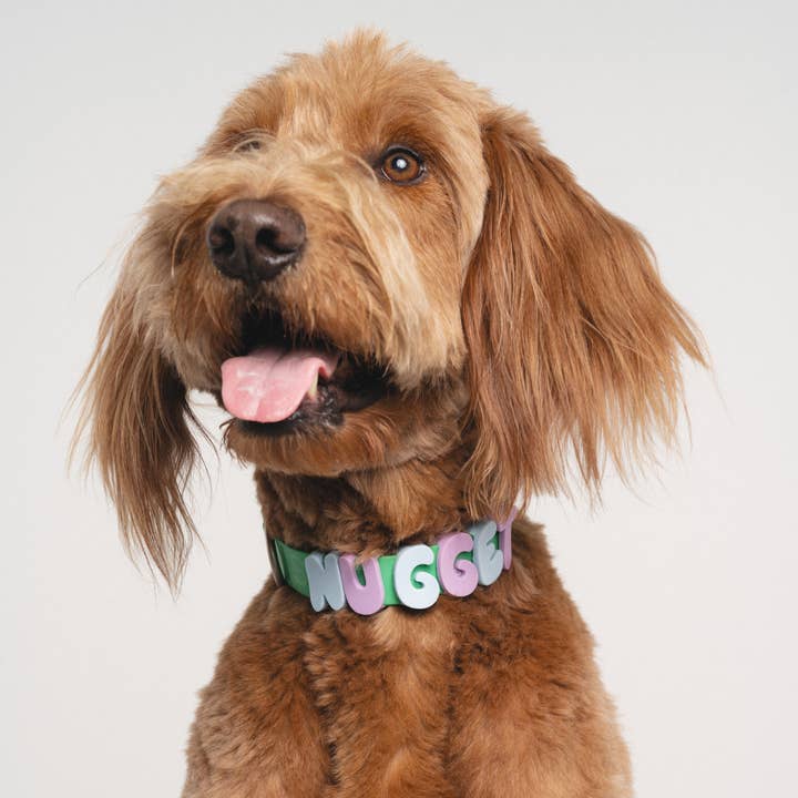 Springland Pets - Wholesale Pet Collar Charm - Cat/Dog - Silicone Dog Charms Personalize Pet Collar (63 Pack Assort)17