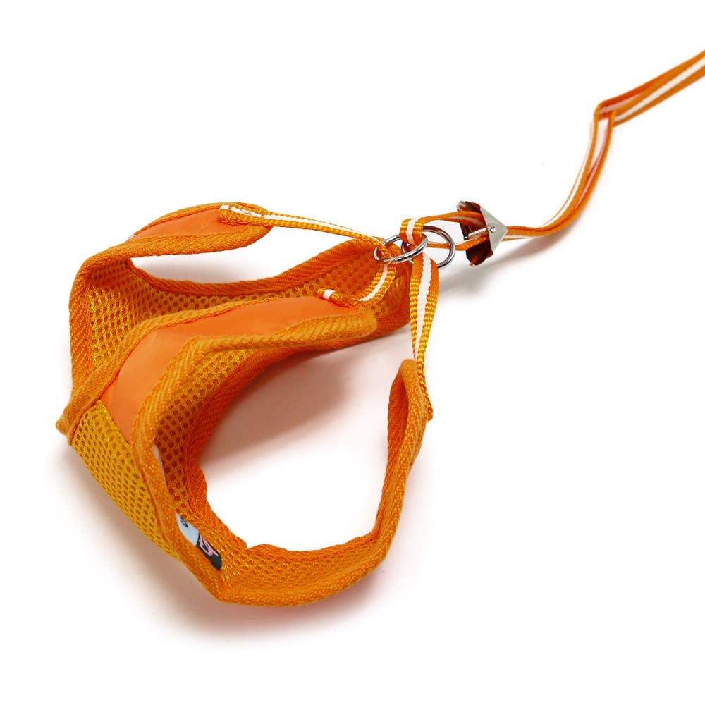 Dogo Pet - Vente Harnais – chien - Harnais EasyGo Basic27