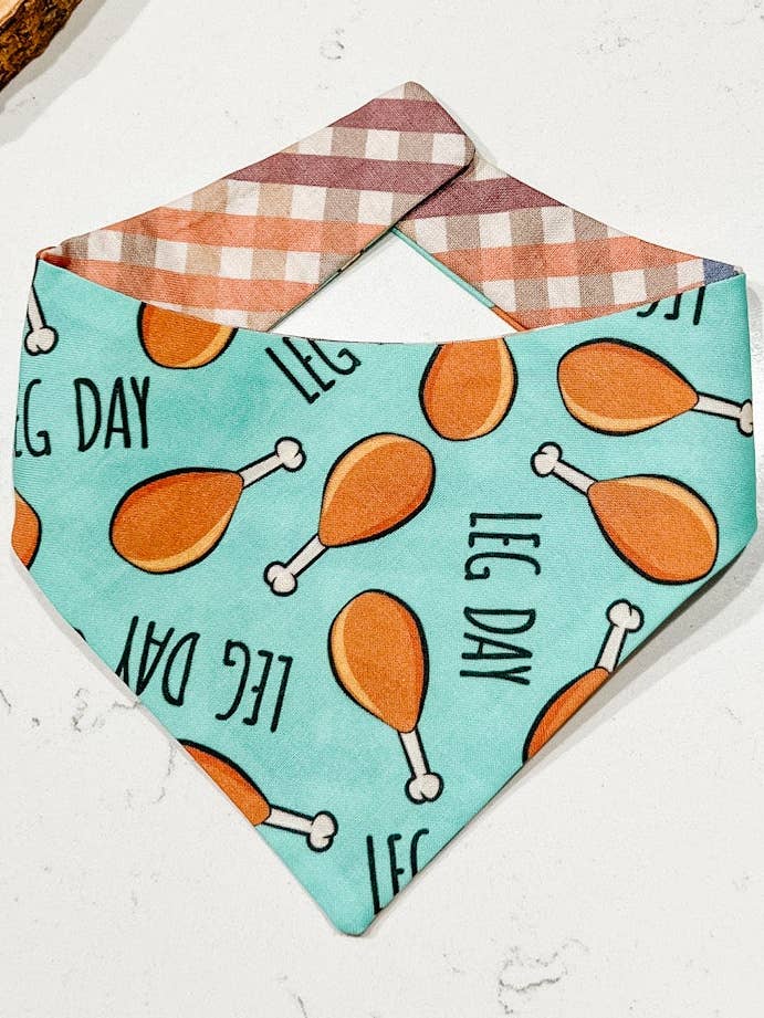 Leg Day Reversible Dog Bandana, Fall Thanksgiving Pet Scarfs for wholesale by StellaLoo