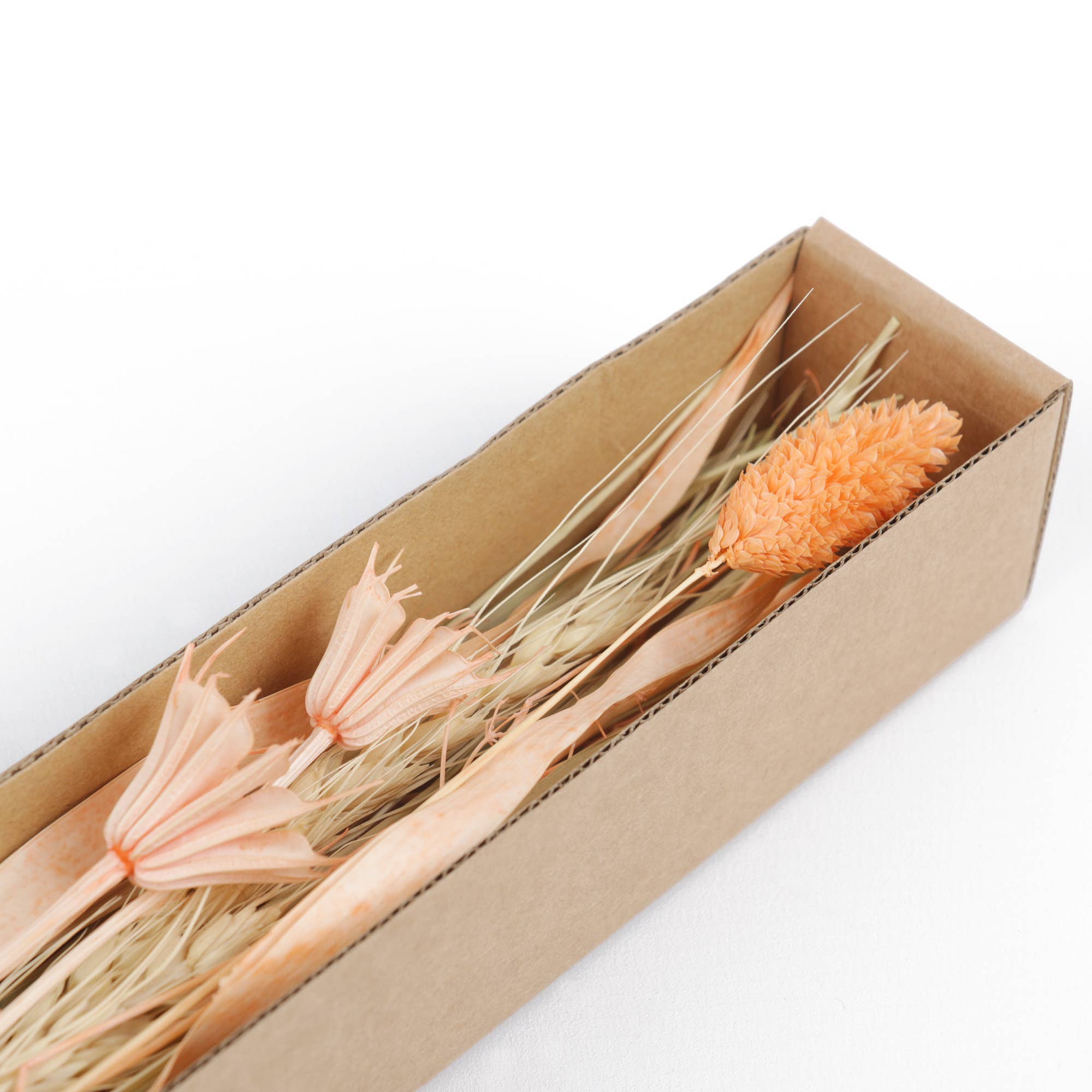 Helio Ferretti Candles & Co. - Wholesale Dried/Pressed Flowers - DRIED FLOWER PHALARIS HF2