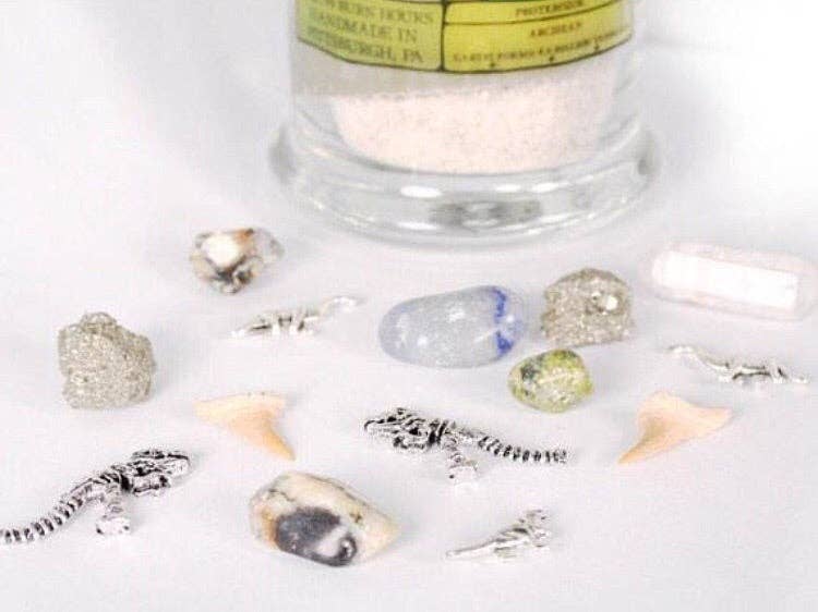 North Ave Candles - Wholesale Jar/Filled Candle - The Excavation Candle  / dinosaur candle / Museum Gift Shop2