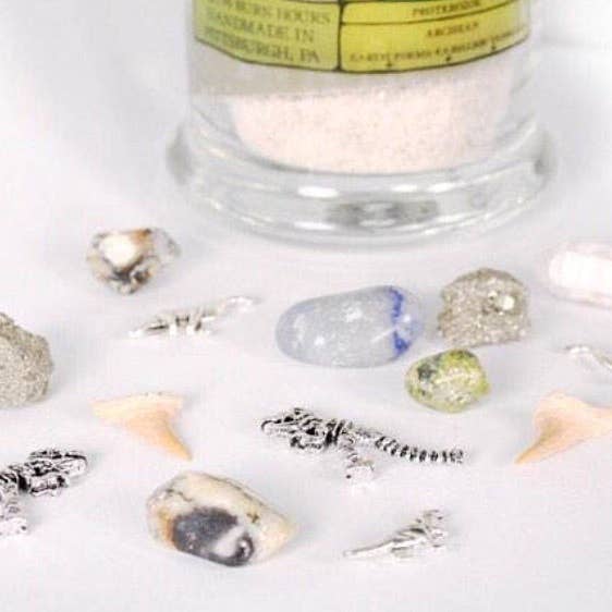 North Ave Candles - Wholesale Jar/Filled Candle - The Excavation Candle / dinosaur candle / Museum Gift Shop2
