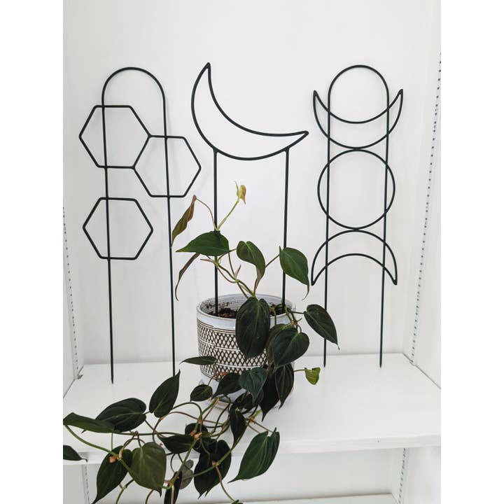 PlantsNsht - Wholesale Trellis - Metal Honeycomb Trellis3