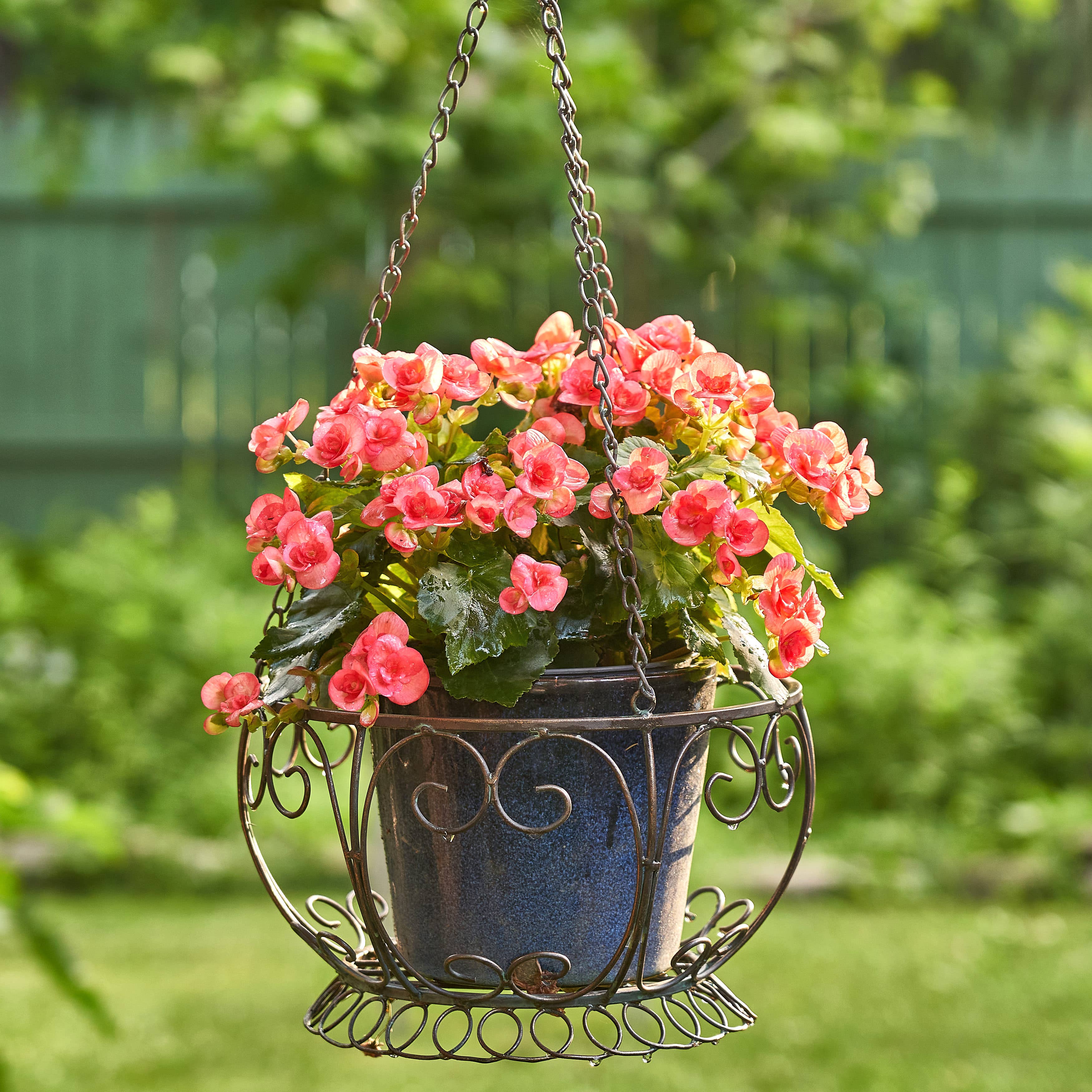Zaer Ltd. International - Wholesale Hanging Planter - Hanging Iron Basket Planter "Paris 1968" - 3 Colors8