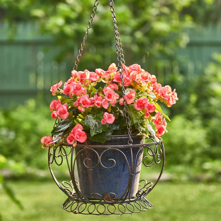 Zaer Ltd. International - Wholesale Hanging Planter - Hanging Iron Basket Planter "Paris 1968" - 3 Colors8