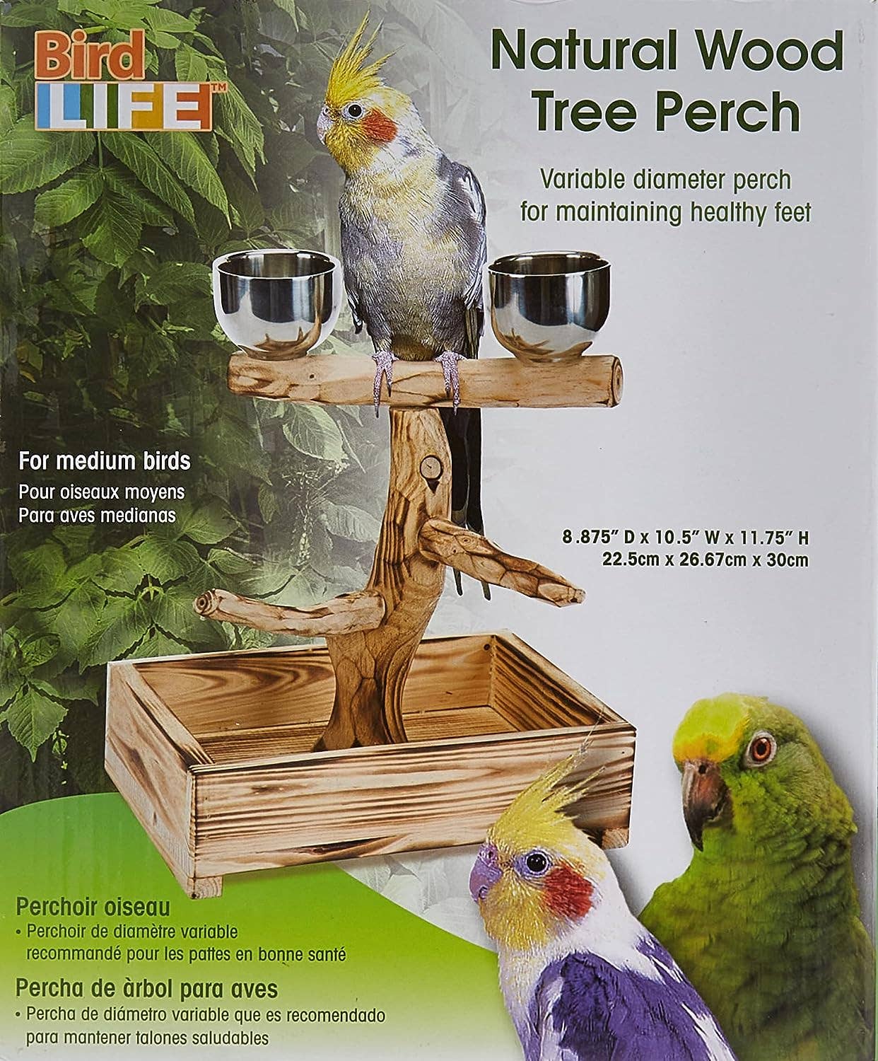 Penn-Plax - Wholesale Bird Feeder - Bird Tree Perch - SM and MED Birds3