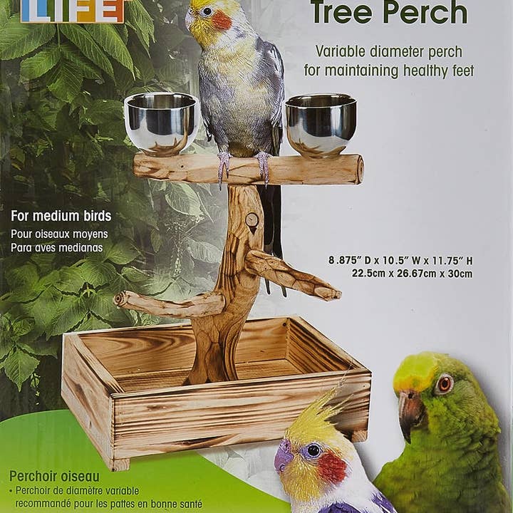 Penn-Plax - Wholesale Bird Feeder - Bird Tree Perch - SM and MED Birds3