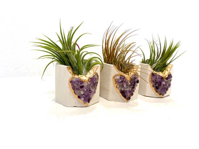 Plant One On Me Designs - Wholesale Plant pot - Amethyst HEART Geode Planter w/ Air Plant - Air Plant Holder1