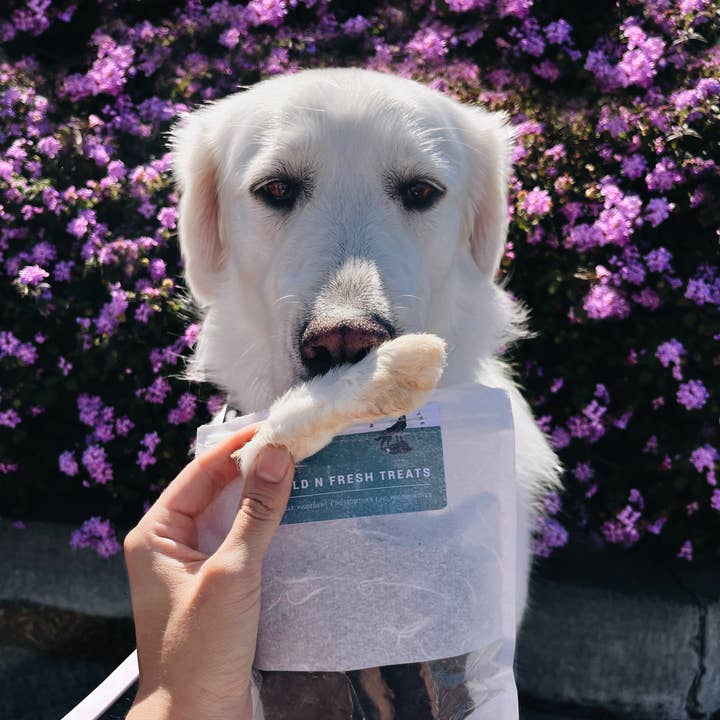 Wild n Fresh Treats - Wholesale Pet Treats - Dog - Dehydrated Rabbit Feet
