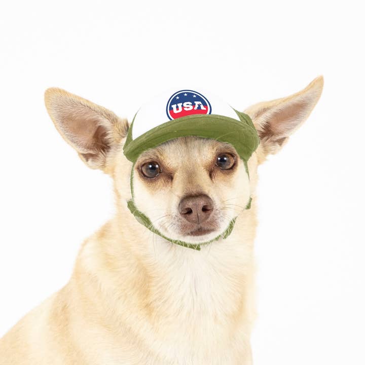 PupLid – wholesale Hatt - Hund – USA Stars Design l Truckerhatt för hundar40