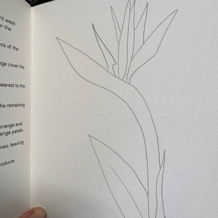 Kelly Murphy's Water and Color Studio - Wholesale Colouring and activity book – kids and baby - Flowers Watercolor Workbook 3