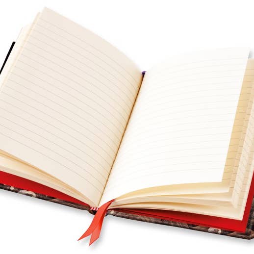 Texas Bookman - Wholesale Journal/Diary - Sun And Sea Lacquer Chinese Screen C. 18Th Century Journal1