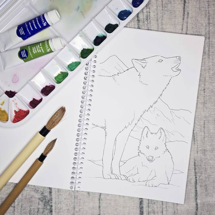 The Snow Finch - Wholesale Colouring book – Adult - Arctic Alaska Art Coloring Book4