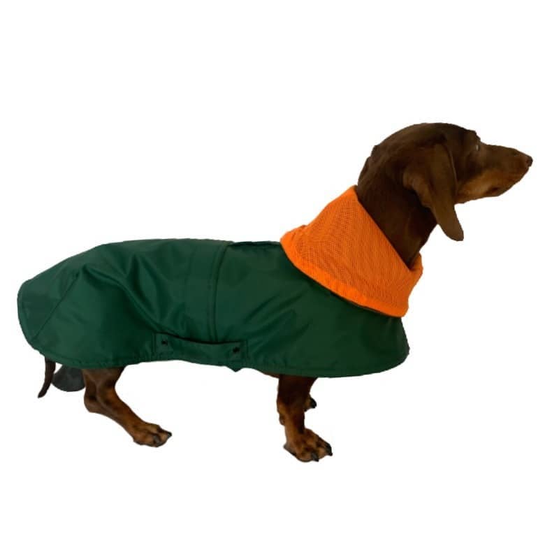 tQel dog trends - Wholesale Pet Raincoat - Dog - Tintin Air Green Raincoat5