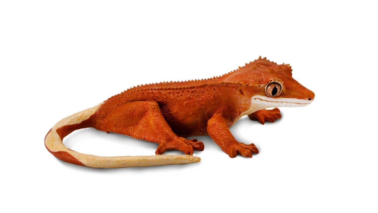 Safari Ltd. - Wholesale Figurine Toy - Kids - Crested Gecko - 100344